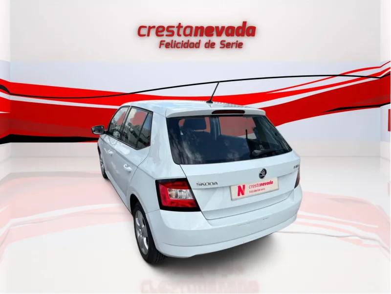Imagen de Skoda Fabia