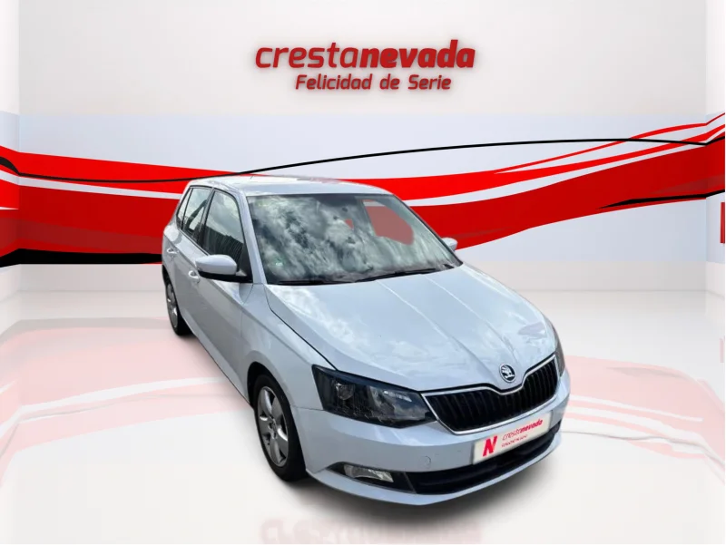 Imagen de Skoda Fabia