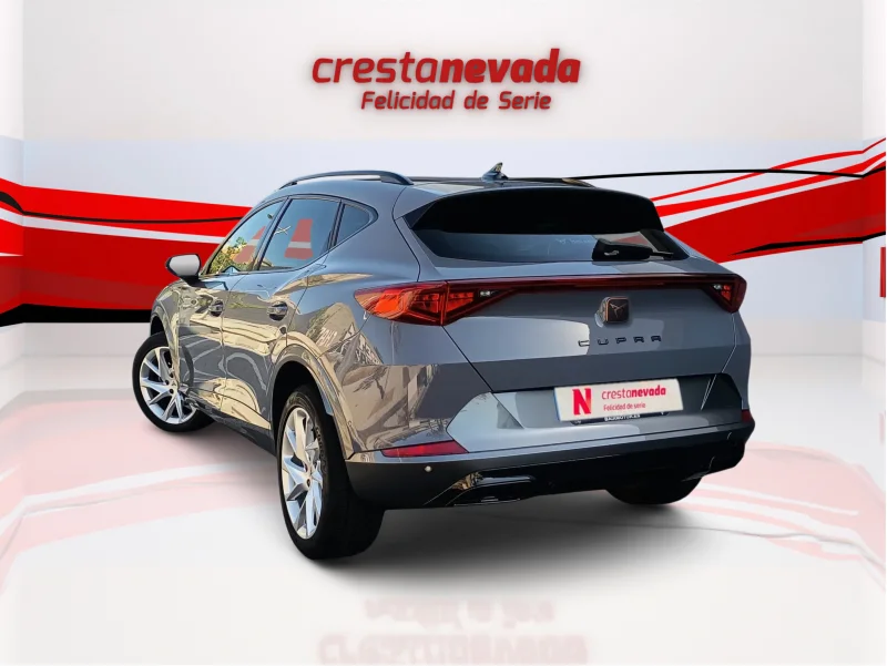 Imagen de cupra Formentor