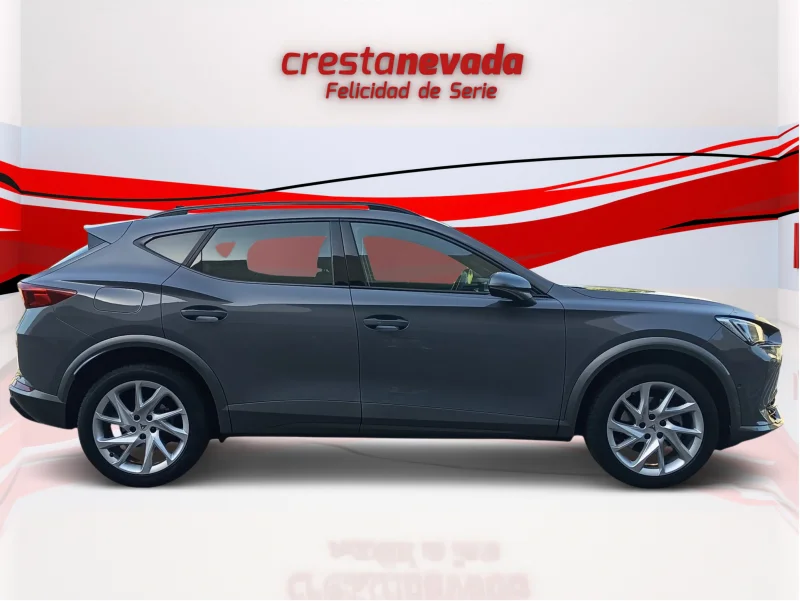Imagen de cupra Formentor
