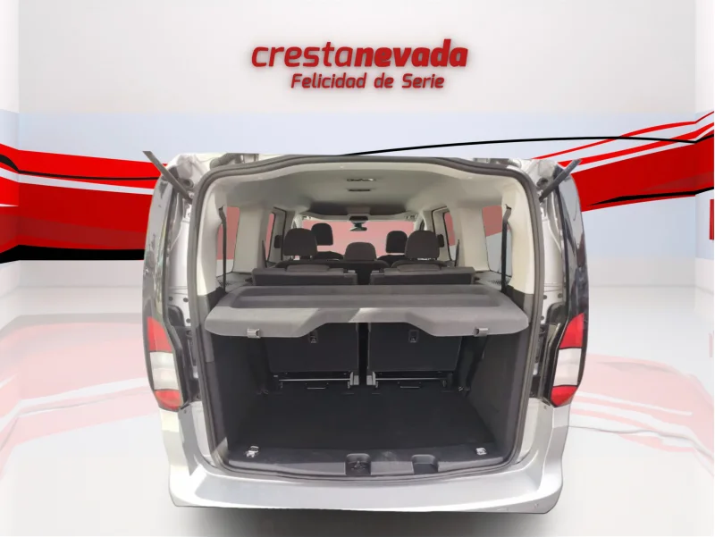 Imagen de Ford Grand Tourneo Connect