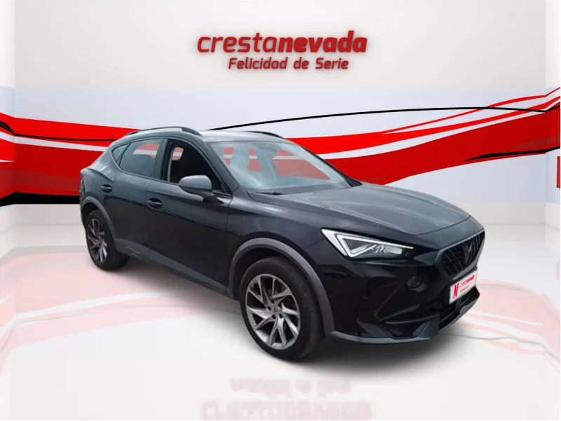 Imagen de cupra Formentor
