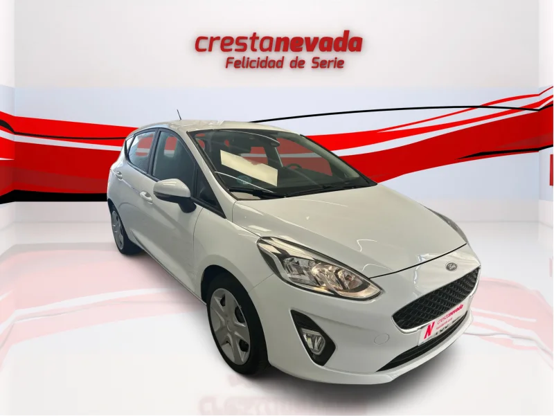 Imagen de Ford Fiesta