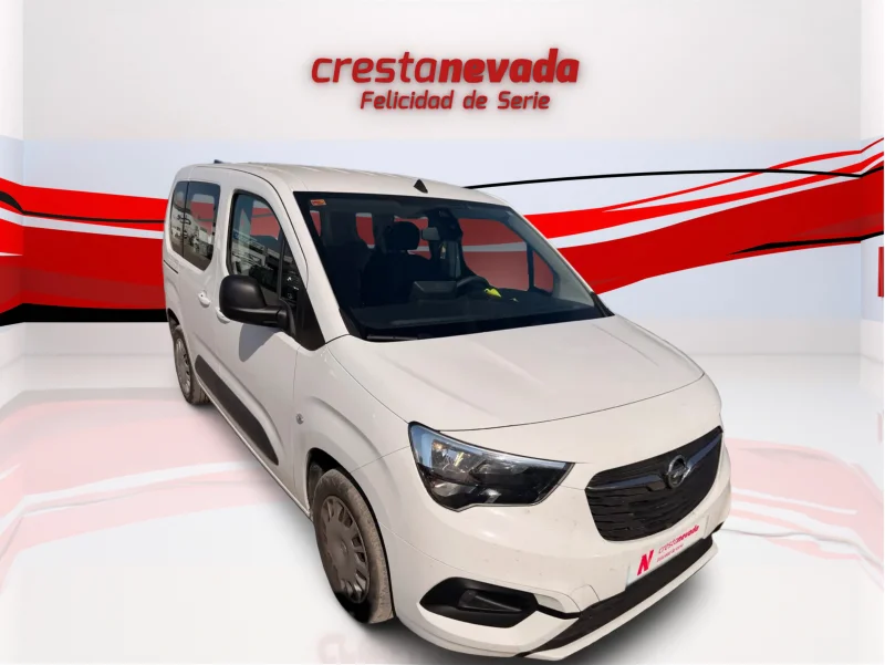 Imagen de Opel Combo Cargo