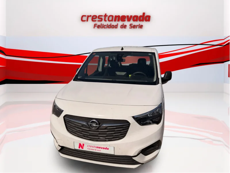 Imagen de Opel Combo Cargo