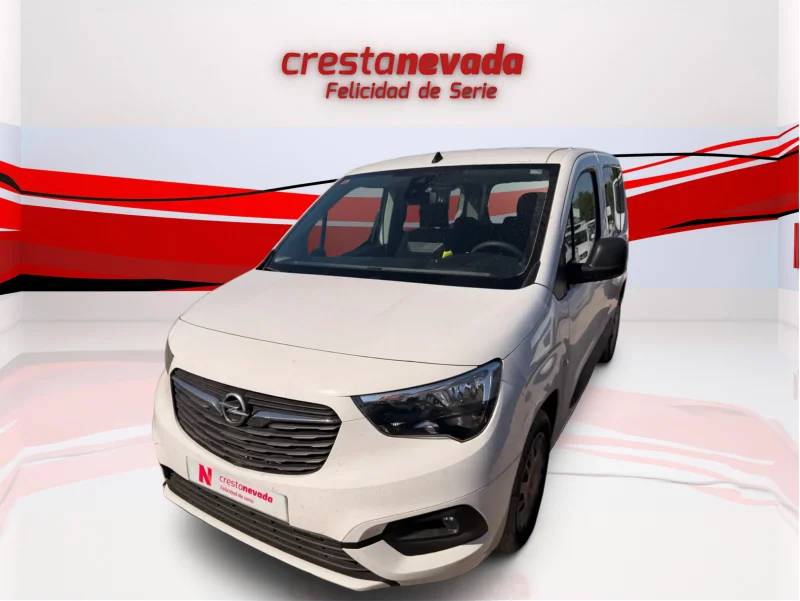 Imagen de Opel Combo Cargo