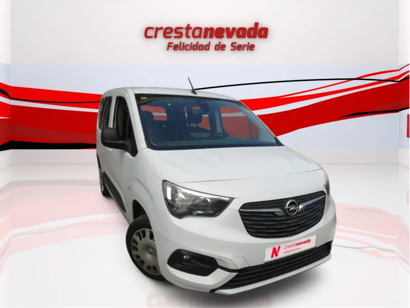 Imagen de Opel Combo Cargo