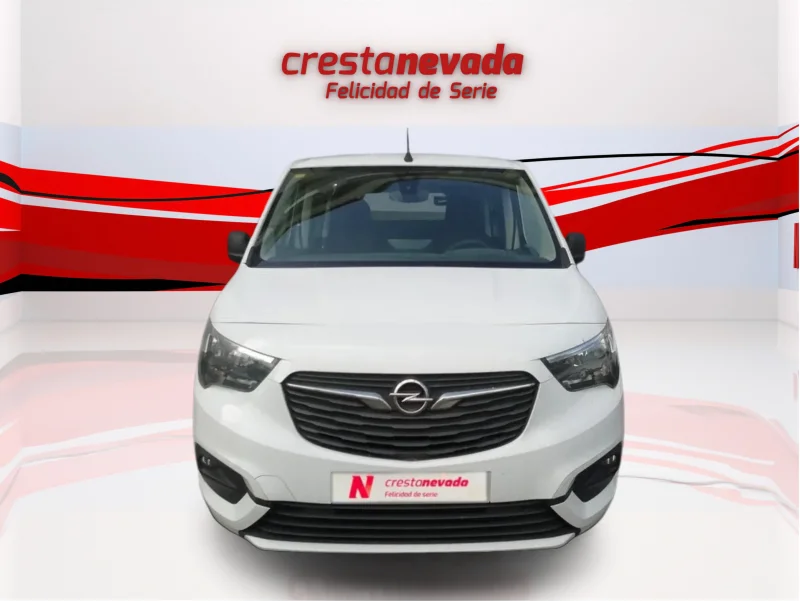Imagen de Opel Combo Cargo