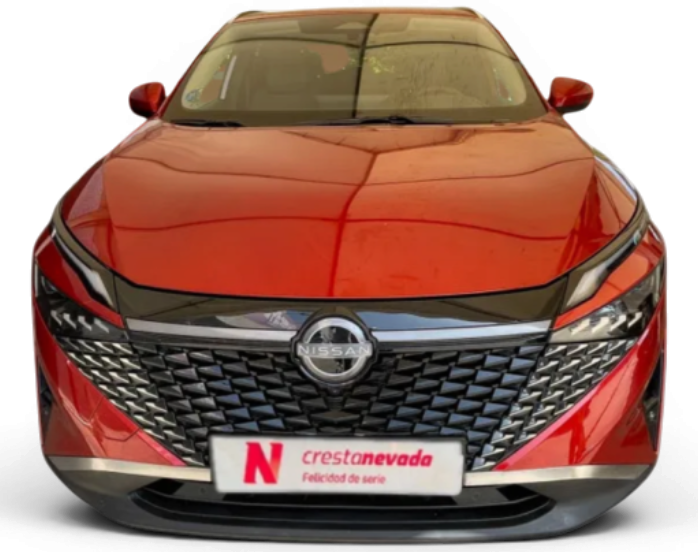 Imagen de NISSAN QASHQAI