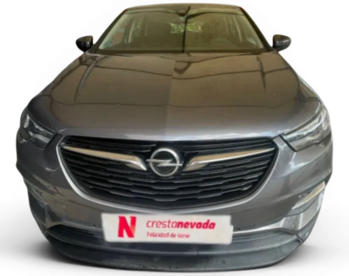 Imagen de Opel Grandland X