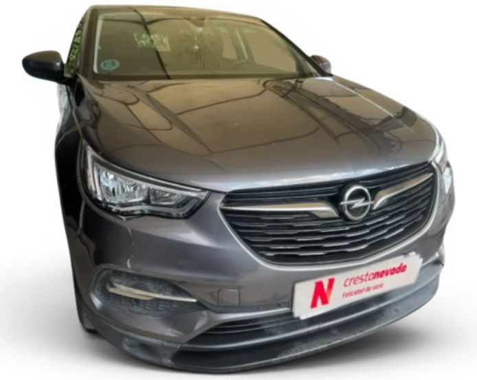 Imagen de Opel Grandland X