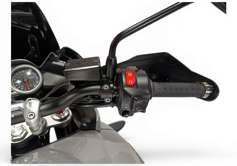 Imagen de Triumph Tiger 1050 Sport