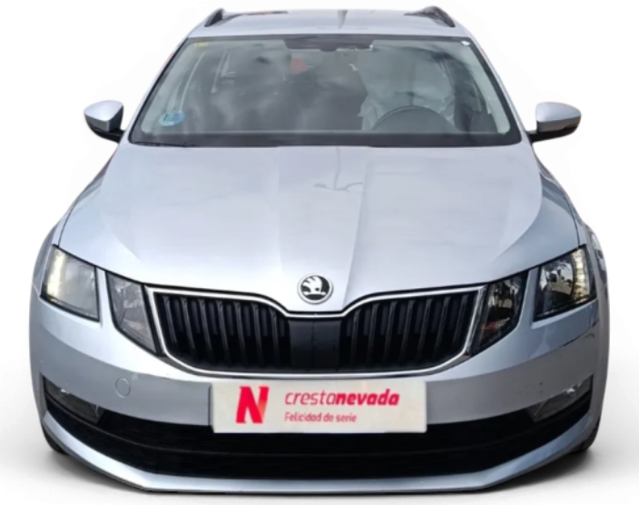 Imagen de Skoda Octavia