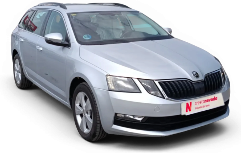 Imagen de Skoda Octavia