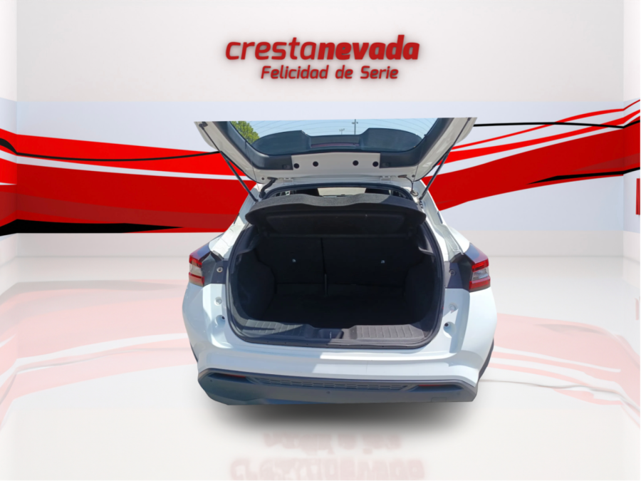 Imagen de NISSAN JUKE