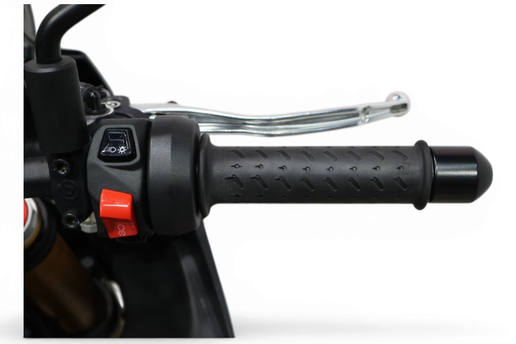 Imagen de Aprilia TUONO V4