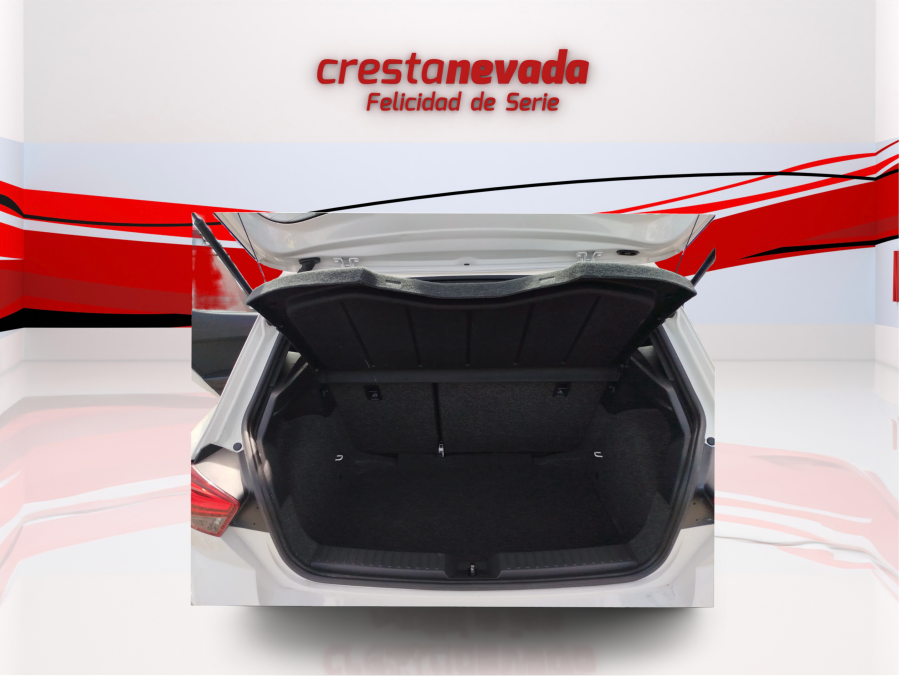 Imagen de SEAT Ibiza