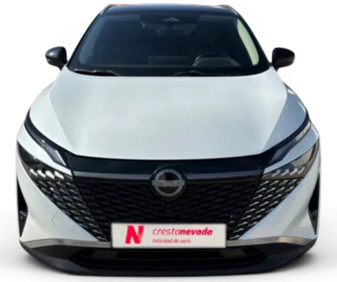 Imagen de NISSAN QASHQAI