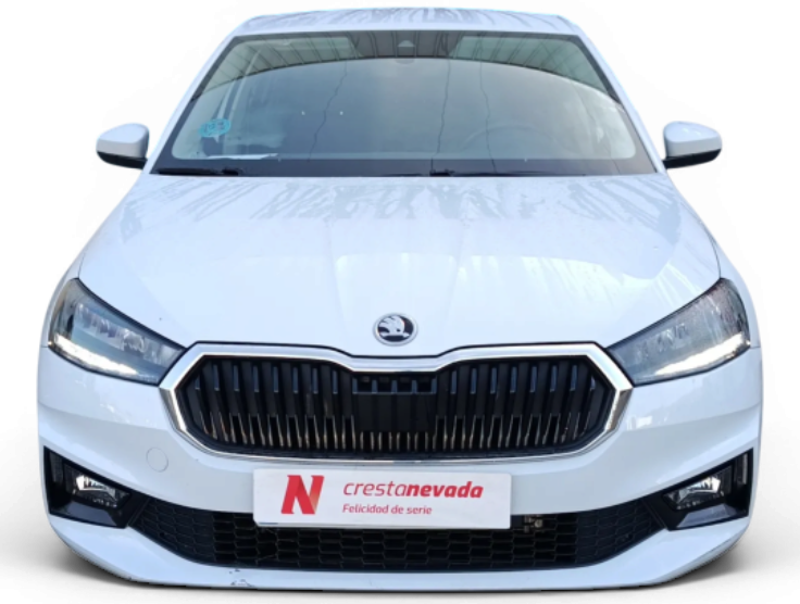 Imagen de Skoda Fabia