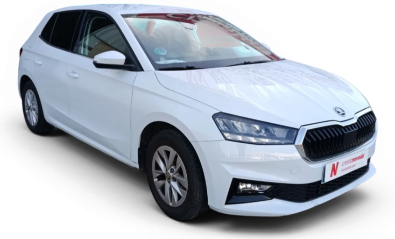 Imagen de Skoda Fabia