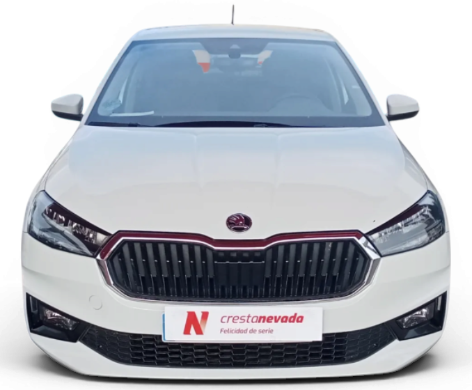 Imagen de Skoda Fabia
