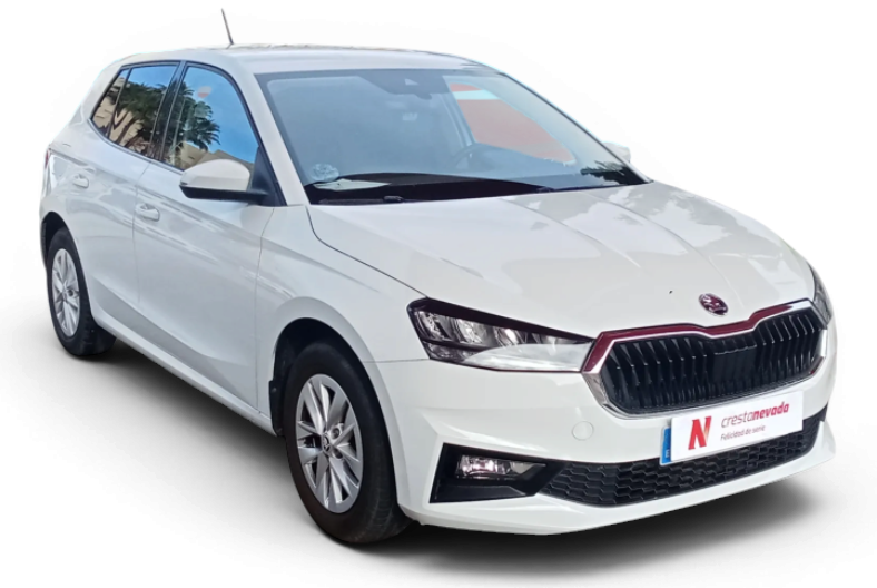 Imagen de Skoda Fabia