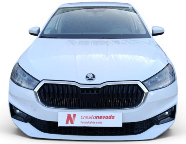 Imagen de Skoda Fabia