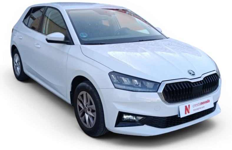Imagen de Skoda Fabia
