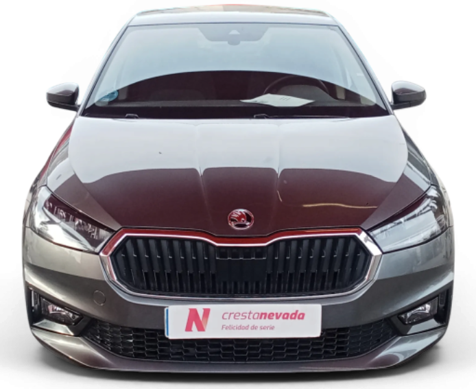 Imagen de Skoda Fabia