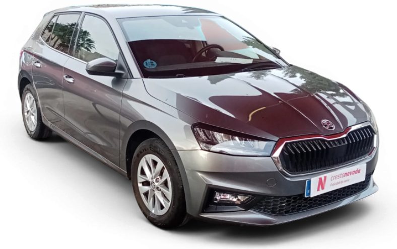 Imagen de Skoda Fabia