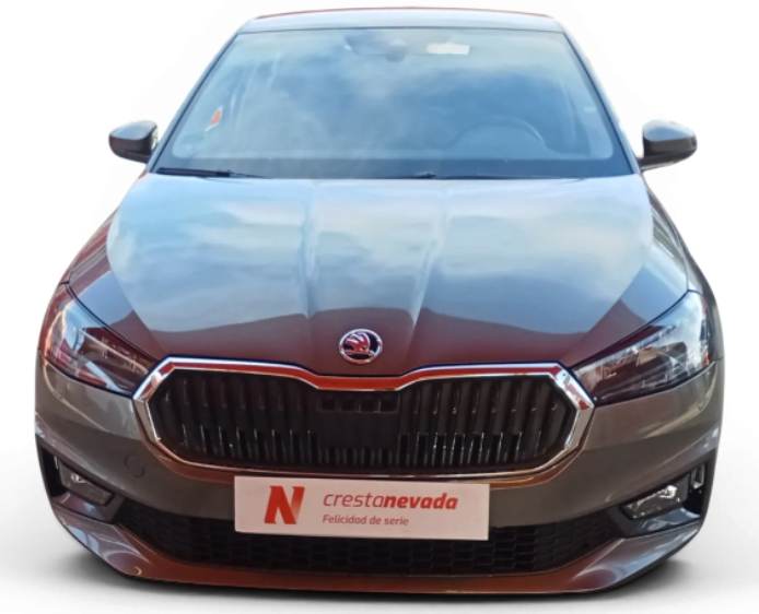 Imagen de Skoda Fabia