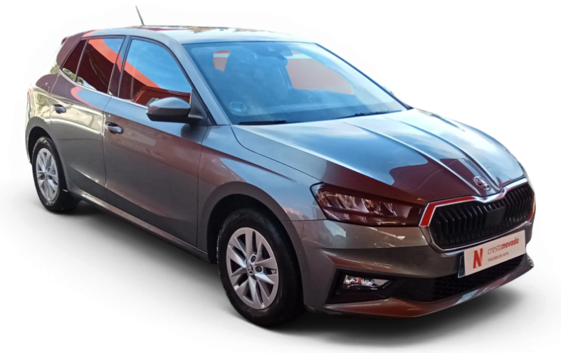 Imagen de Skoda Fabia