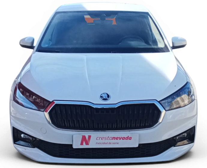 Imagen de Skoda Fabia