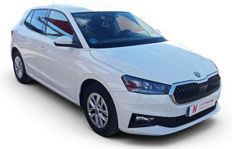 Imagen de Skoda Fabia