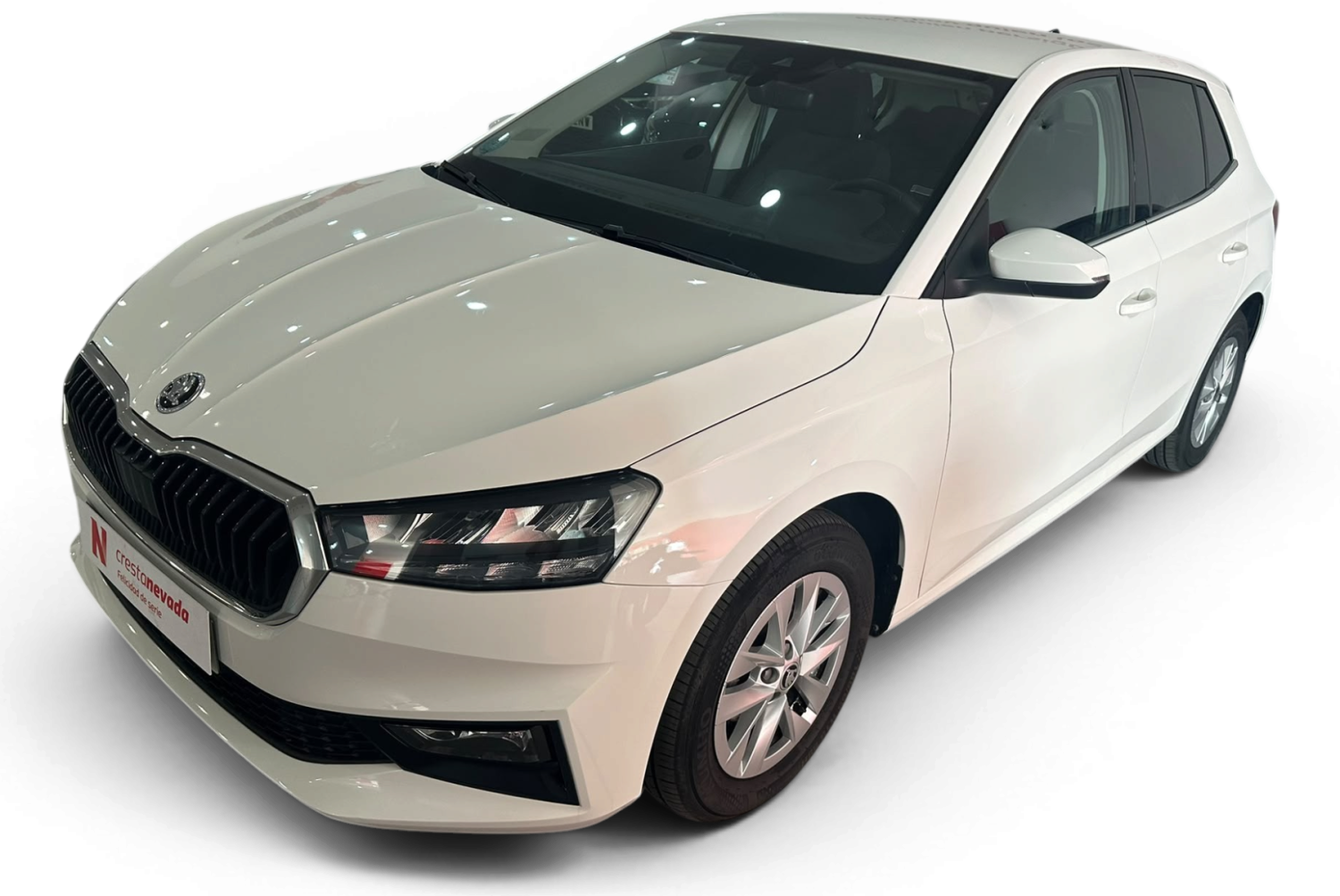 Imagen de Skoda Fabia
