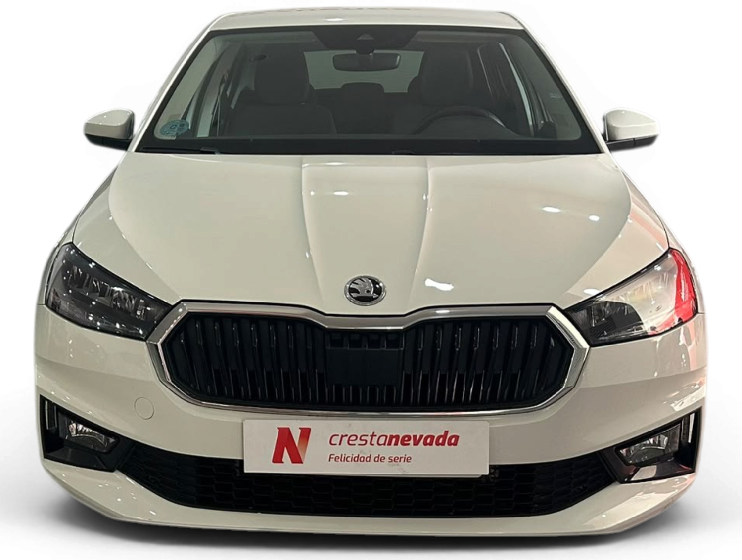 Imagen de Skoda Fabia