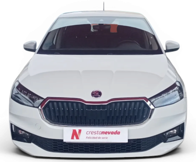 Imagen de Skoda Fabia