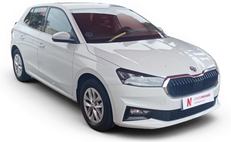 Imagen de Skoda Fabia