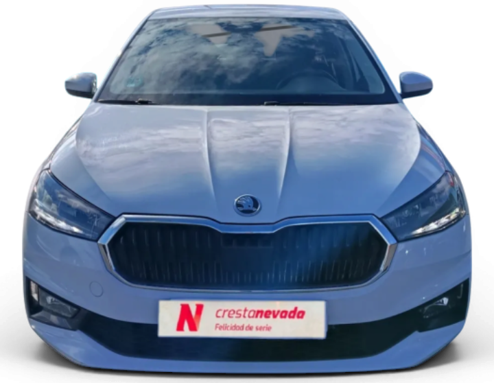 Imagen de Skoda Fabia