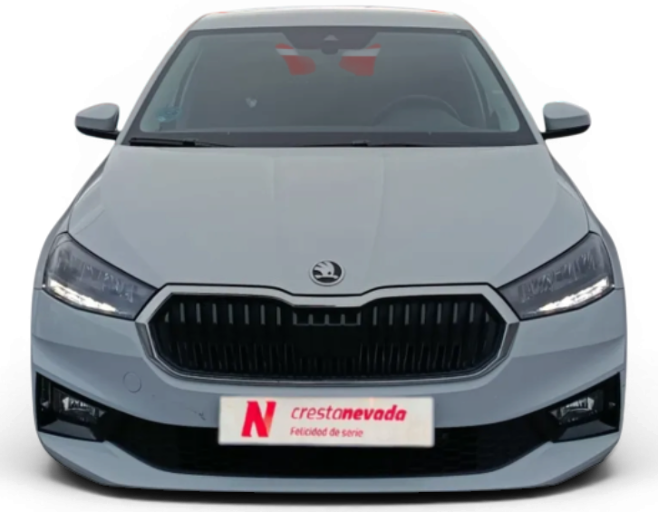 Imagen de Skoda Fabia