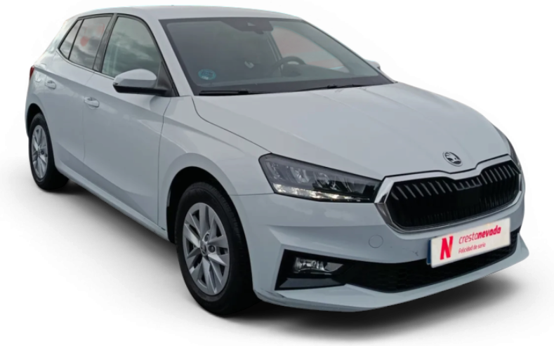 Imagen de Skoda Fabia