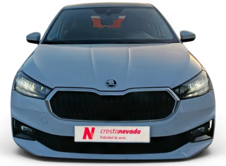 Imagen de Skoda Fabia