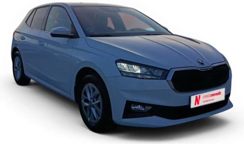 Imagen de Skoda Fabia