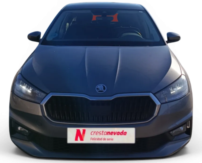 Imagen de Skoda Fabia