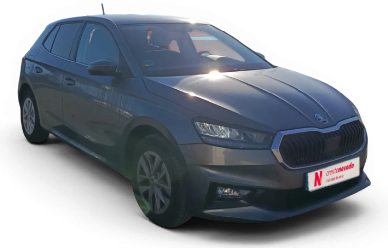 Imagen de Skoda Fabia