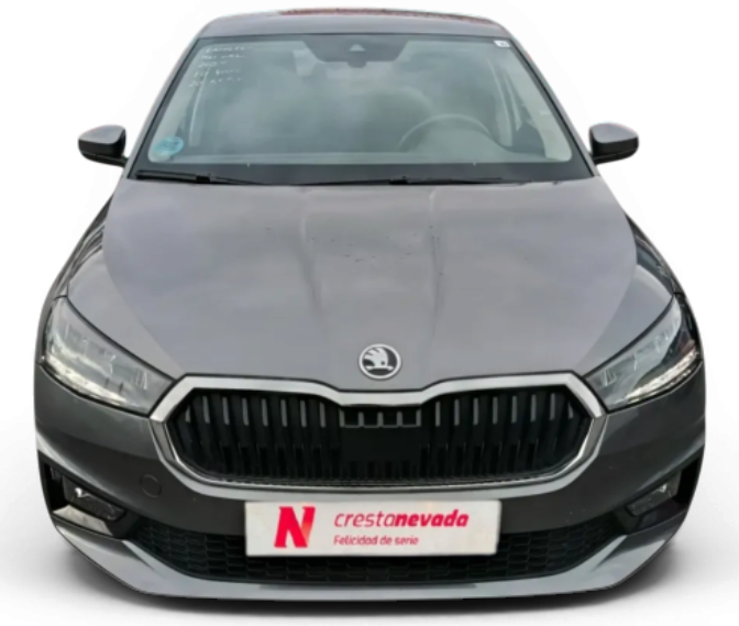 Imagen de Skoda Fabia