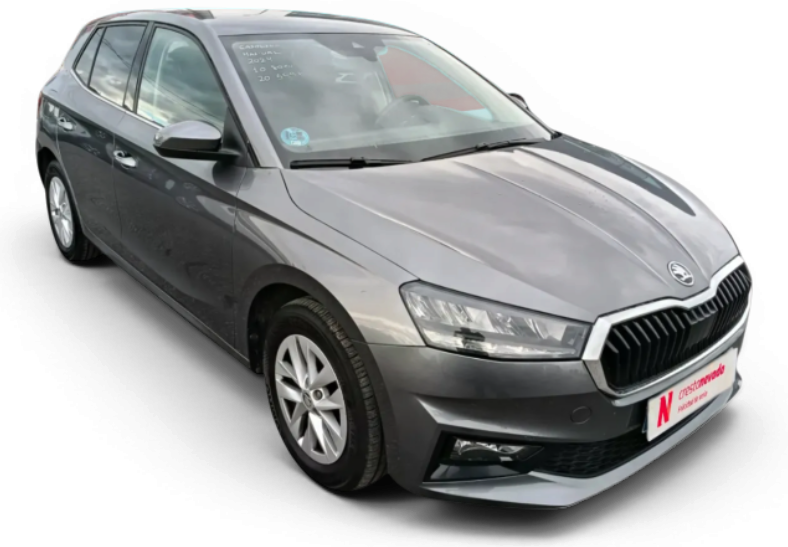 Imagen de Skoda Fabia