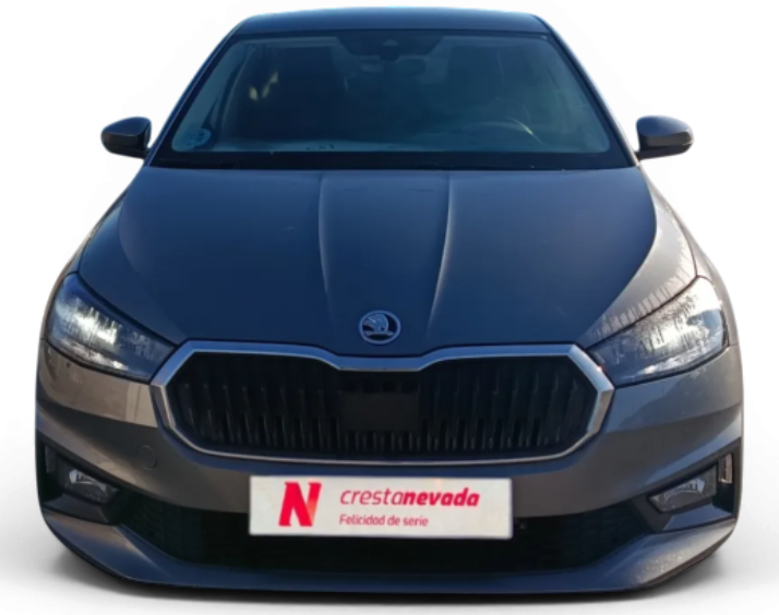 Imagen de Skoda Fabia