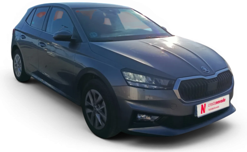 Imagen de Skoda Fabia