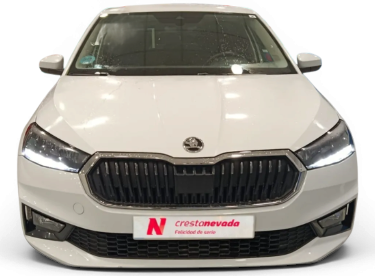 Imagen de Skoda Fabia